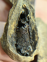 Load image into Gallery viewer, Natural oud from Filipino Lyete underwater