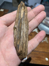Load image into Gallery viewer, Old East Malaysian agarwood for collection - uthaiagarwood