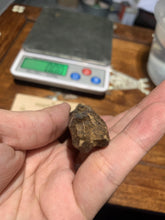 Load image into Gallery viewer, Old East Malaysian agarwood for collection - uthaiagarwood