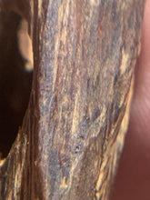 Load image into Gallery viewer, Old East Malaysian agarwood for collection - uthaiagarwood