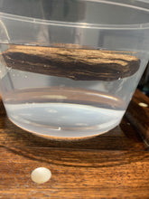 Load image into Gallery viewer, Old East Malaysian agarwood for collection - uthaiagarwood