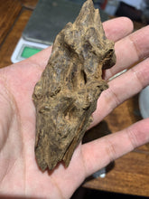 Load image into Gallery viewer, Old East Malaysian agarwood for collection - uthaiagarwood