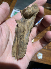 Load image into Gallery viewer, Old East Malaysian agarwood for collection - uthaiagarwood