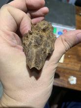 Load image into Gallery viewer, Old East Malaysian agarwood for collection - uthaiagarwood