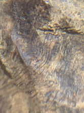 Load image into Gallery viewer, Old East Malaysian agarwood for collection - uthaiagarwood