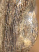 Load image into Gallery viewer, Old East Malaysian agarwood for collection - uthaiagarwood