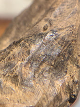 Load image into Gallery viewer, Old East Malaysian agarwood for collection - uthaiagarwood
