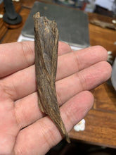 Load image into Gallery viewer, Old west Malaysian agarwood for collection - uthaiagarwood