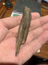 Load image into Gallery viewer, Old west Malaysian agarwood for collection - uthaiagarwood
