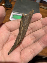 Load image into Gallery viewer, Old west Malaysian agarwood for collection - uthaiagarwood