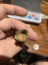 Load image into Gallery viewer, Old west Malaysian agarwood for collection - uthaiagarwood