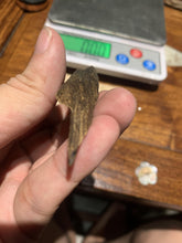 Load image into Gallery viewer, Old west Malaysian agarwood for collection - uthaiagarwood