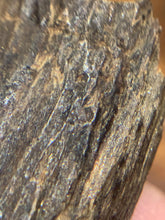 Load image into Gallery viewer, Old west Malaysian agarwood for collection - uthaiagarwood