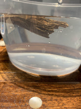 Load image into Gallery viewer, Old west Malaysian agarwood for collection - uthaiagarwood