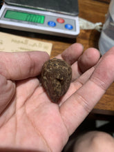 Load image into Gallery viewer, Old Cambodia agarwood for collection - uthaiagarwood