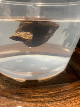 Load image into Gallery viewer, Old Cambodia agarwood for collection - uthaiagarwood