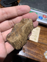 Load image into Gallery viewer, Old East Malaysian agarwood for collection - uthaiagarwood