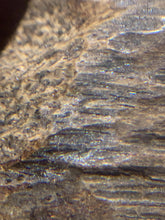 Load image into Gallery viewer, Old East Malaysian agarwood for collection - uthaiagarwood