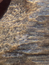 Load image into Gallery viewer, Old East Malaysian agarwood for collection - uthaiagarwood