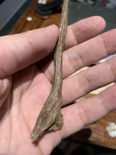 Load image into Gallery viewer, Old west Malaysian agarwood for collection - uthaiagarwood