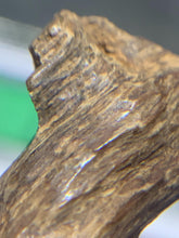Load image into Gallery viewer, Old west Malaysian agarwood for collection - uthaiagarwood
