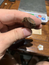 Load image into Gallery viewer, Old Cambodia agarwood for collection - uthaiagarwood