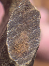 Load image into Gallery viewer, Old Cambodia agarwood for collection - uthaiagarwood