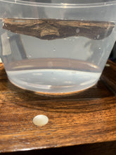 Load image into Gallery viewer, Old Cambodia agarwood for collection - uthaiagarwood