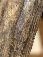Load image into Gallery viewer, Old Cambodia agarwood for collection - uthaiagarwood