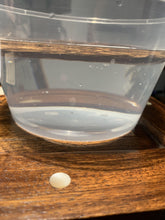 Load image into Gallery viewer, Old Cambodia agarwood for collection - uthaiagarwood