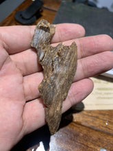 Load image into Gallery viewer, Old Cambodia agarwood for collection - uthaiagarwood