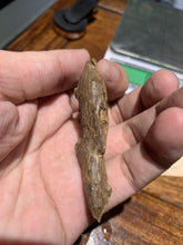 Load image into Gallery viewer, Old Cambodia agarwood for collection - uthaiagarwood