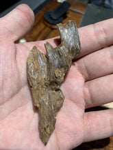 Load image into Gallery viewer, Old Cambodia agarwood for collection - uthaiagarwood