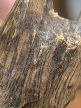 Load image into Gallery viewer, Old Cambodia agarwood for collection - uthaiagarwood