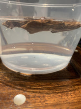 Load image into Gallery viewer, Old Cambodia agarwood for collection - uthaiagarwood