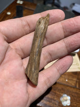 Load image into Gallery viewer, Old East Malaysian agarwood for collection - uthaiagarwood