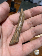 Load image into Gallery viewer, Old East Malaysian agarwood for collection - uthaiagarwood