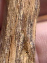 Load image into Gallery viewer, Old East Malaysian agarwood for collection - uthaiagarwood