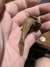 Load image into Gallery viewer, Old East Malaysian agarwood for collection - uthaiagarwood