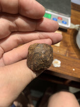 Load image into Gallery viewer, Old East Malaysian agarwood for collection - uthaiagarwood