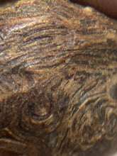 Load image into Gallery viewer, Old East Malaysian agarwood for collection - uthaiagarwood