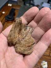 Load image into Gallery viewer, Old East Malaysian agarwood for collection - uthaiagarwood