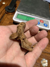 Load image into Gallery viewer, Old East Malaysian agarwood for collection - uthaiagarwood