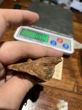 Load image into Gallery viewer, Old East Malaysian agarwood for collection - uthaiagarwood