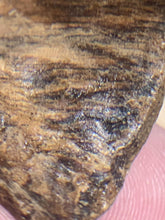 Load image into Gallery viewer, Old East Malaysian agarwood for collection - uthaiagarwood