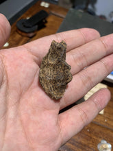 Load image into Gallery viewer, Old East Malaysian agarwood for collection - uthaiagarwood