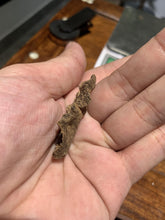 Load image into Gallery viewer, Old East Malaysian agarwood for collection - uthaiagarwood