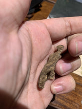 Load image into Gallery viewer, Old East Malaysian agarwood for collection - uthaiagarwood