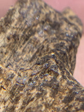 Load image into Gallery viewer, Old East Malaysian agarwood for collection - uthaiagarwood