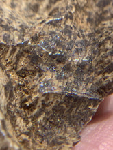 Load image into Gallery viewer, Old East Malaysian agarwood for collection - uthaiagarwood